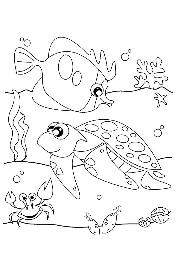 595x842 Otter Coloring Page Otter Coloring Pages Otter Coloring Pages