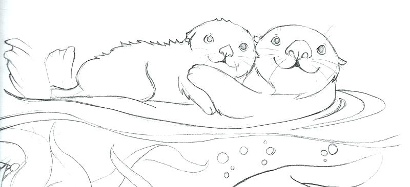 800x366 Otter Coloring Page River Otter Coloring Pages Harry Potter