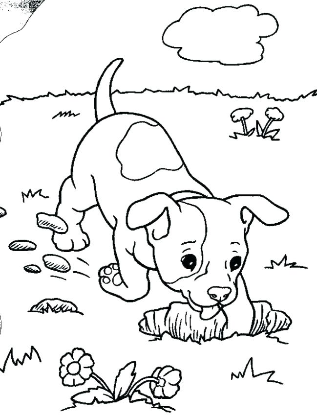 649x854 Harry The Dirty Dog Coloring Sheet Harry The Dirty Dog Coloring