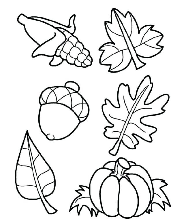 600x761 Harvest Coloring Pages Autumn Harvest Crops In Autumn Season