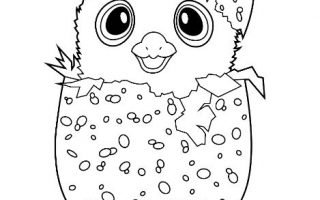 320x200 Search Results Coloring Pages Hatchimals Drawing Board Weekly