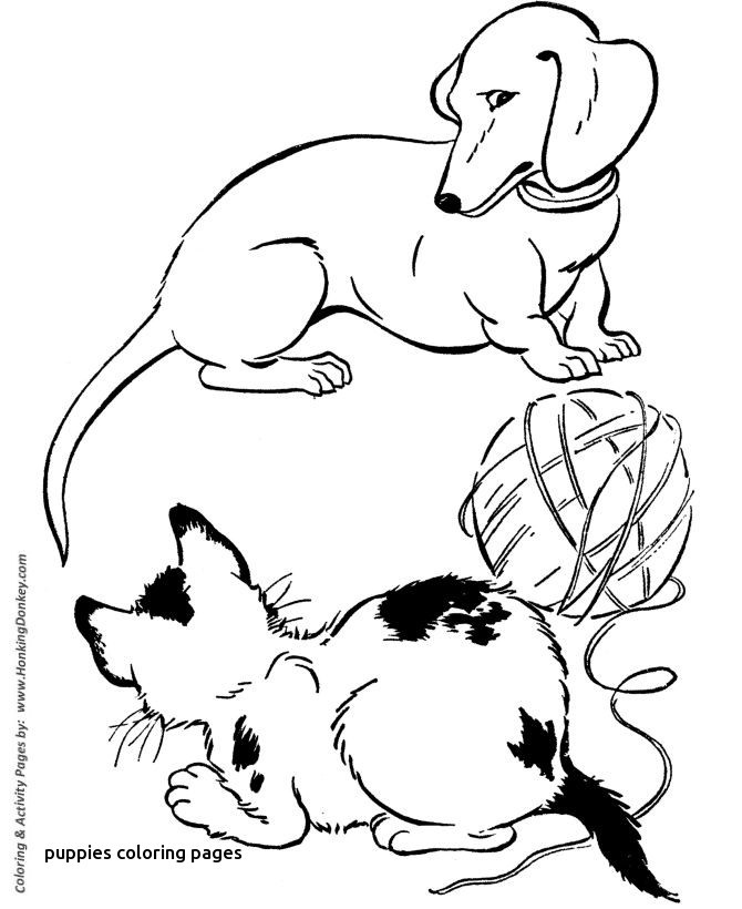 670x820 Pet Dog Coloring Pages