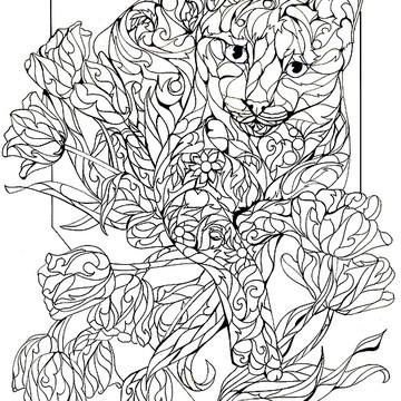 360x360 Sherry Shipley Paintings