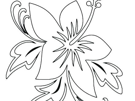 440x330 Free Printable Hawaiian Flowers Flowers Coloring Pages Free Free