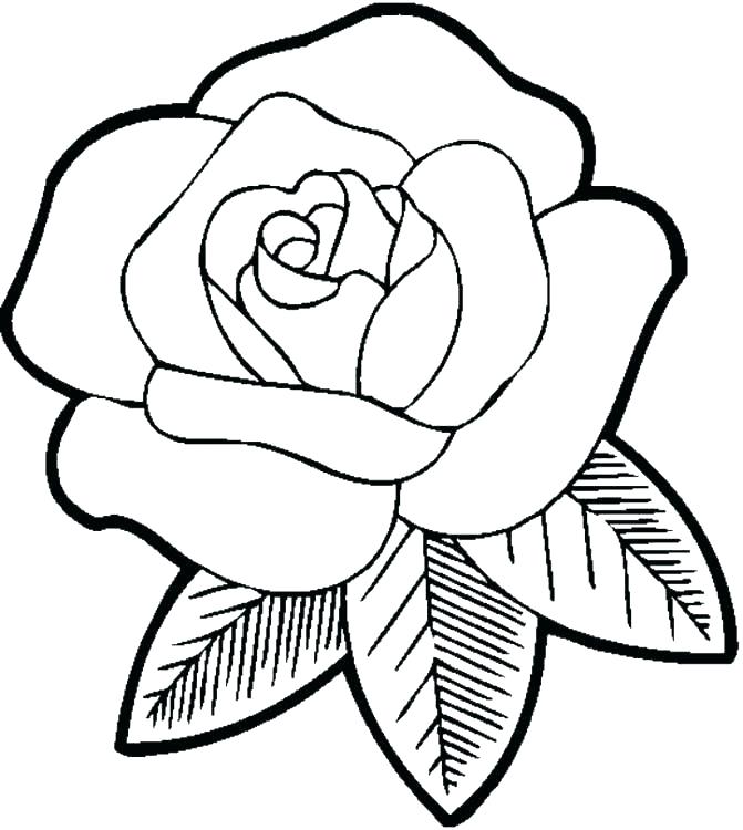 671x750 Hawaiian Flower Coloring Pages Flowers Coloring Pages Flower