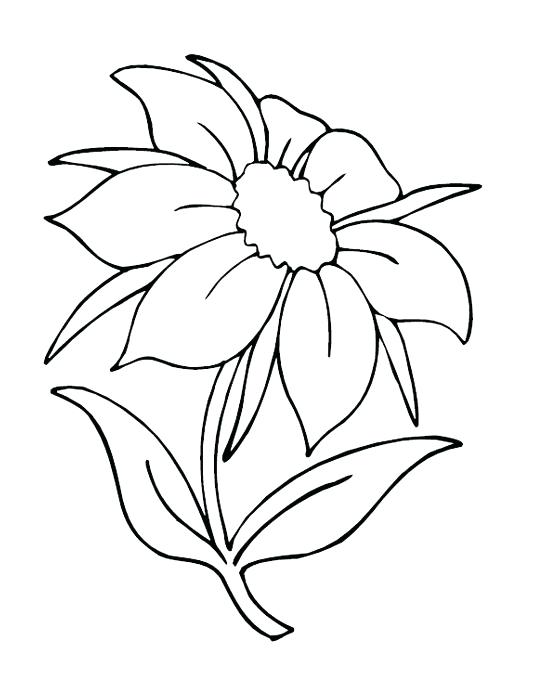548x685 Pretty Flower Coloring Pages Free Printable Flowers Colouring