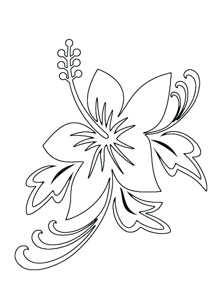 736x952 Unique Hawaiian Flowers Coloring Pages And Flower Coloring Pages