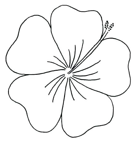 448x466 Hawaiian Flowers Coloring Pages Free