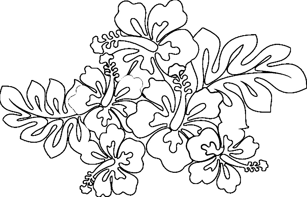 1203x773 Hawaiian Flower Coloring Pages Acpra