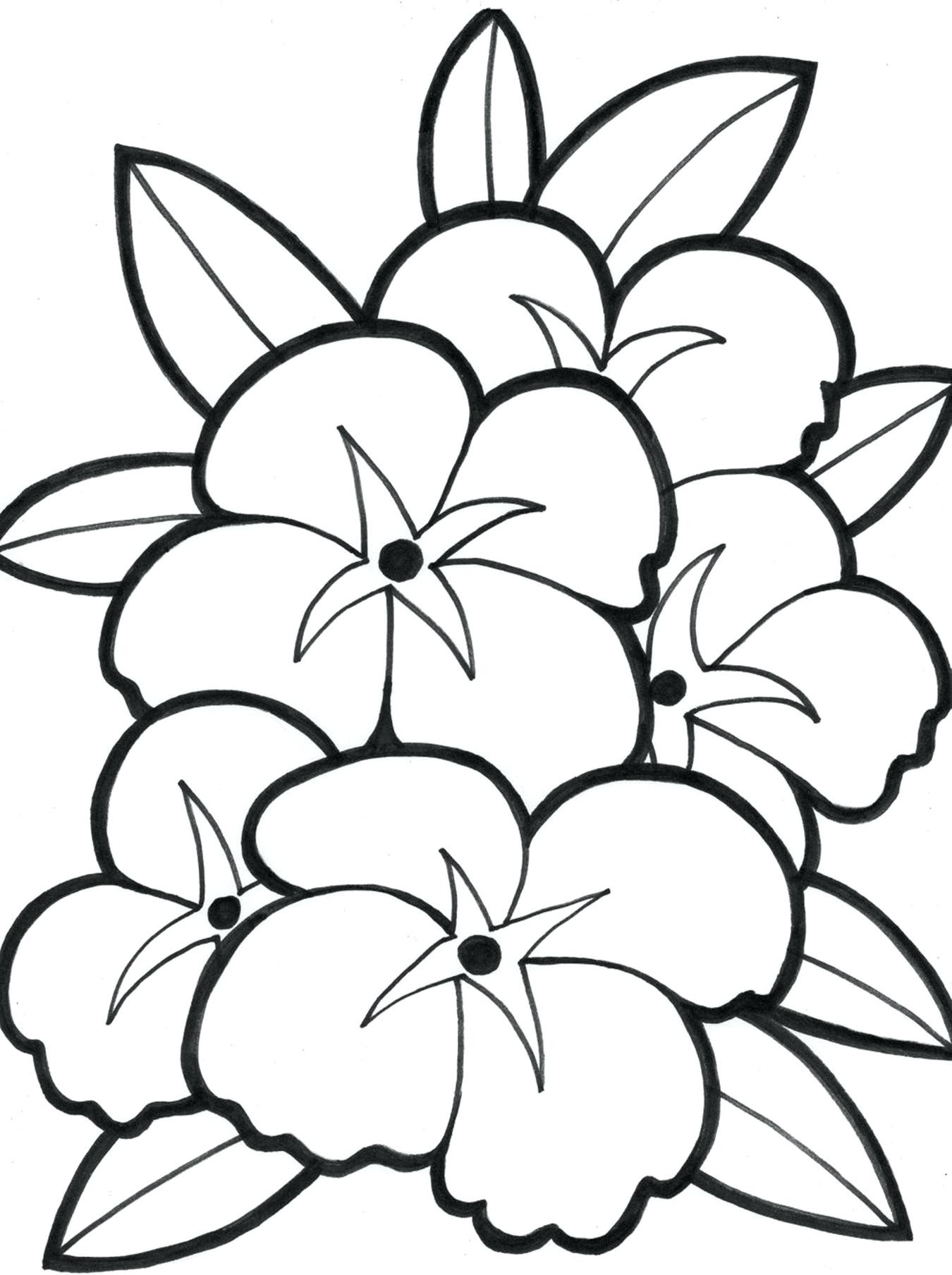 1350x1808 Hawaiian Flowers Coloring Pages Incredible Flower Mosm