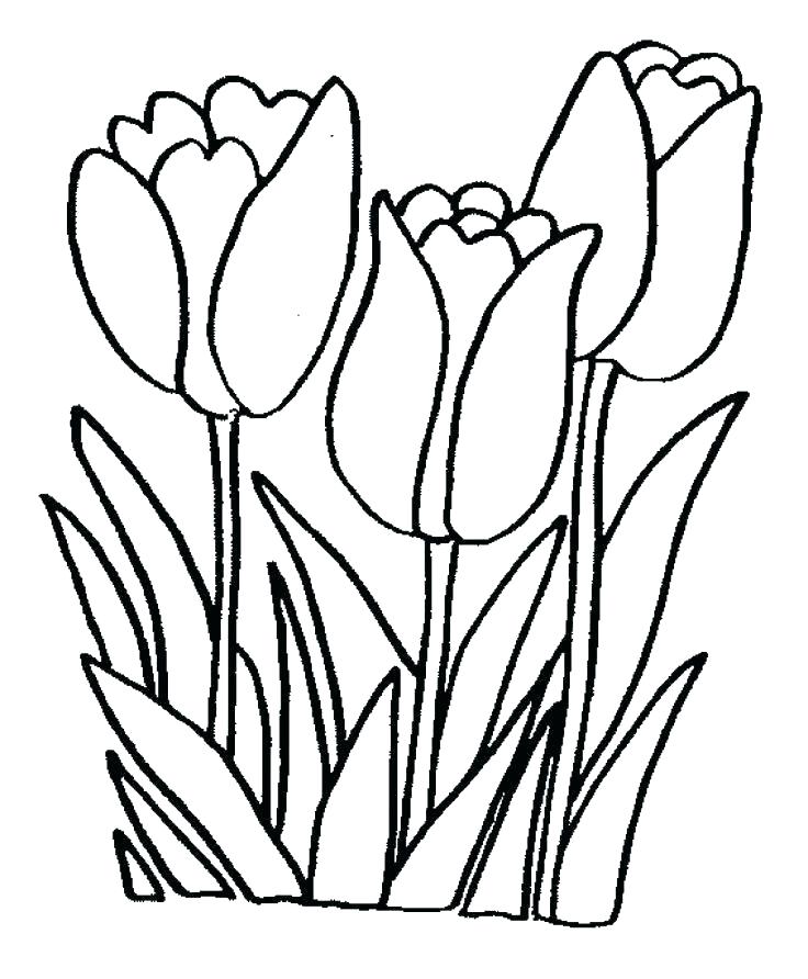 736x892 Printable Coloring Pages Of Flowers Flower Coloring Pages Free
