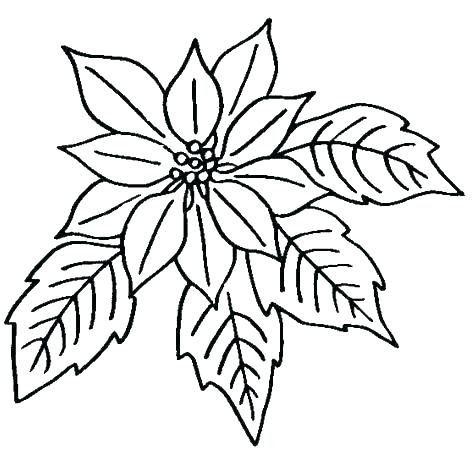 474x451 Coloring Flowers Download Printable Coloring Pages Coloring