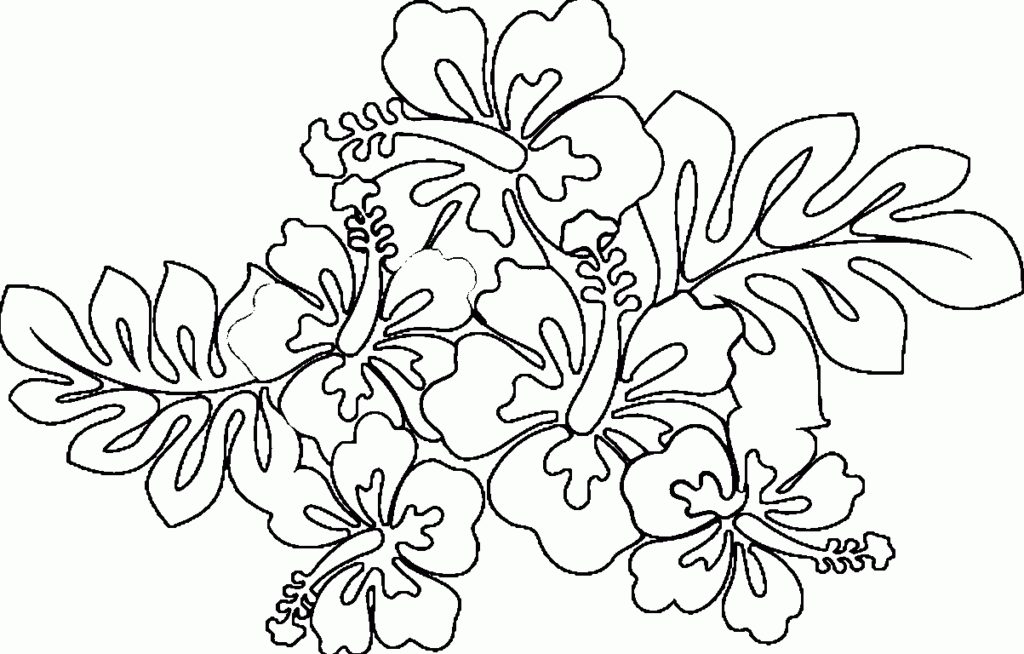1024x654 Luau Coloring Pages Hawaii General Hawaiian Printable Party