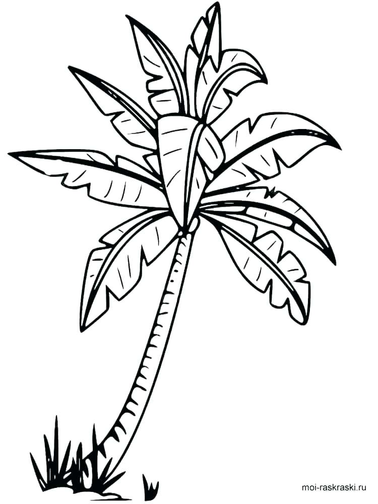 750x1000 Luau Coloring Pages Hula Girl Coloring Page Com In Inspirations
