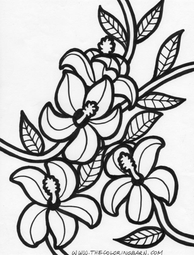 640x838 Printable Hawaiian Coloring Pages Many Interesting Cliparts