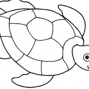 300x300 Hawaiian Turtle Coloring Pages Fresh Sea Turtle Coloring Page