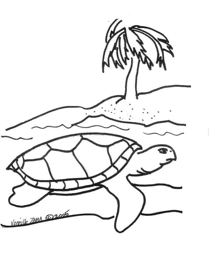 672x856 Sea Turtle Coloring Page Sea Turtle, Inc