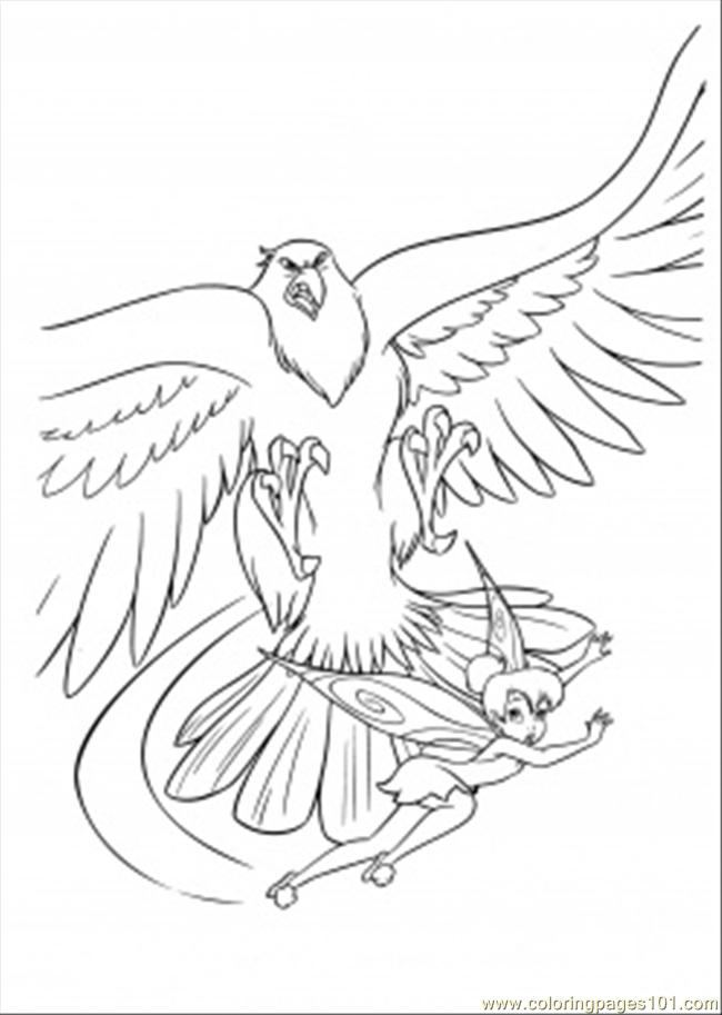 650x913 Hawk Coloring Page