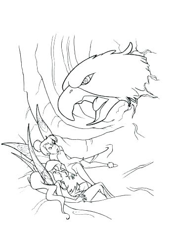 342x480 Hawk Coloring Pages