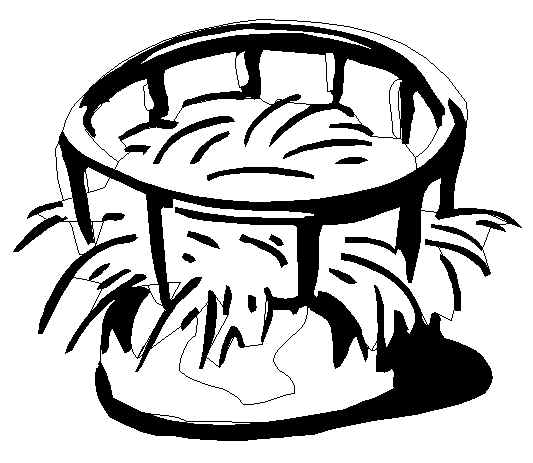 533x463 Farm Coloring Pages, Fun For Kids