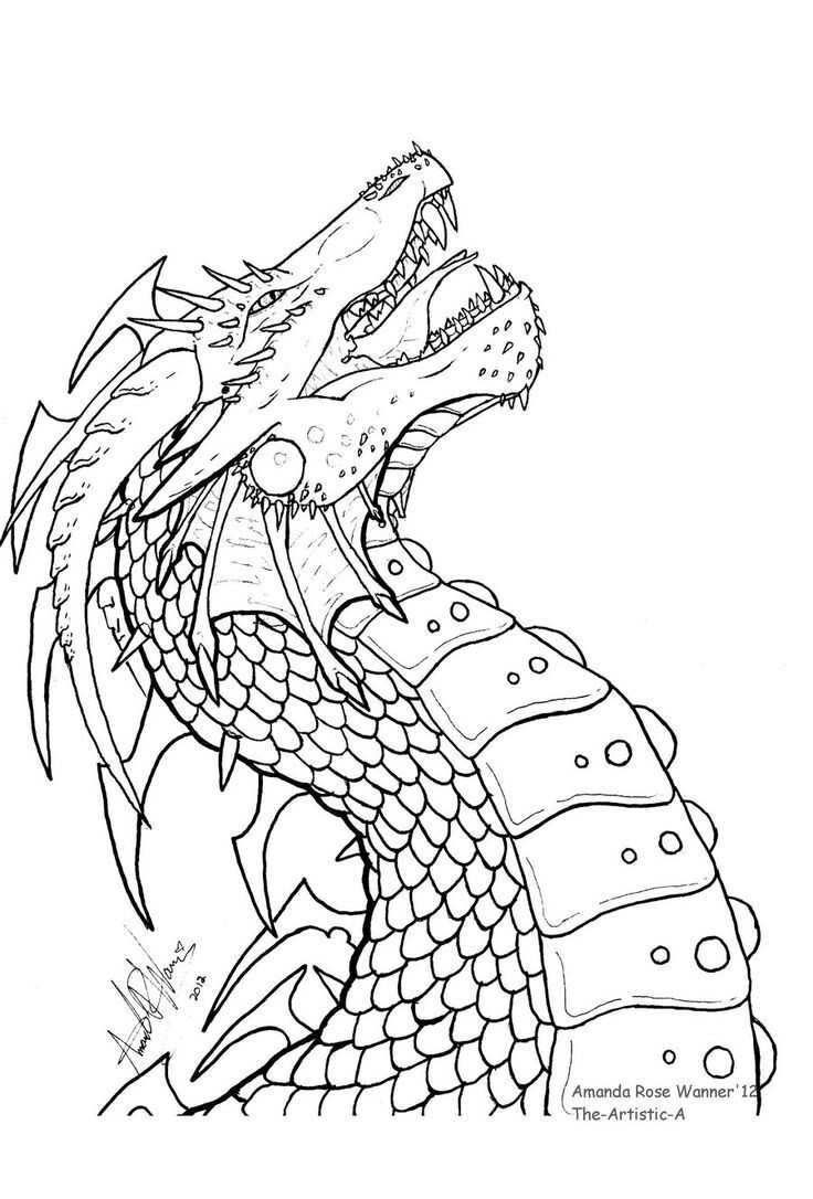 736x1086 Dragon Head Coloring Page