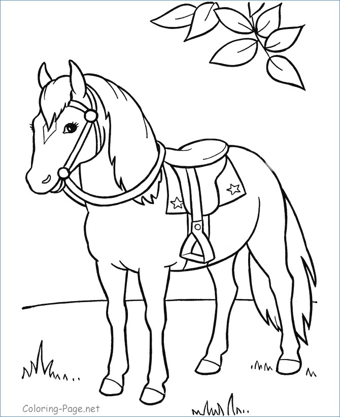 670x820 Horse Head Coloring Page Preeschool
