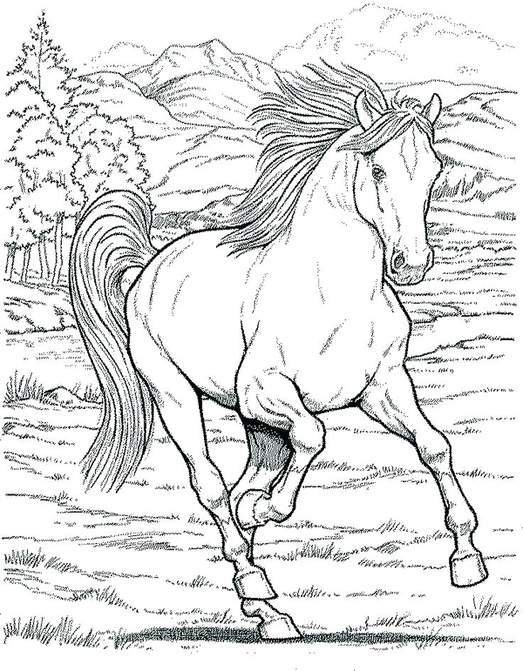 736x945 Headless Horseman Coloring Pages Vanda