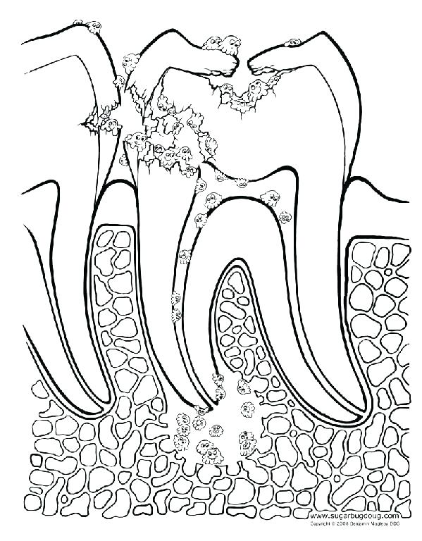 599x768 Healthy Coloring Pages Healthy Coloring Pages For Kids Dental
