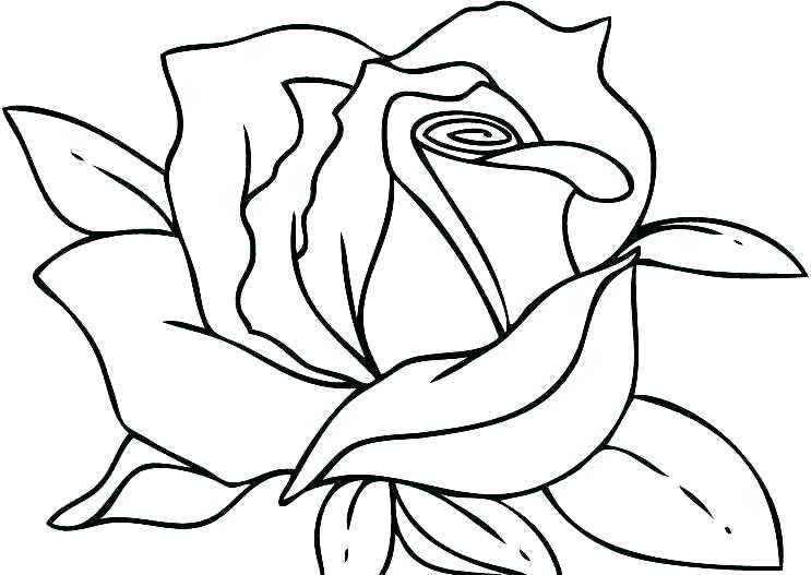 743x527 Human Heart Coloring Page Human Heart Coloring Page Valentine