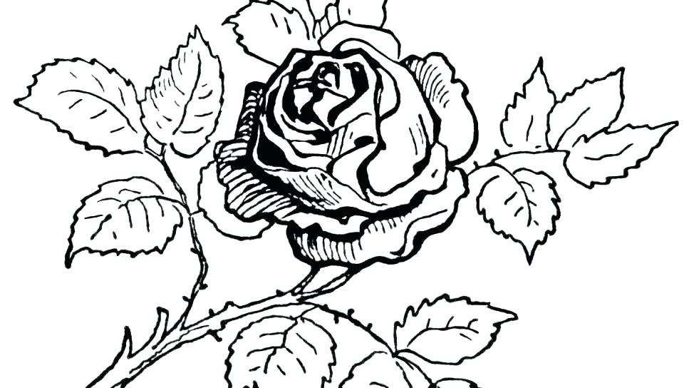 960x544 Coloring Pages For Adults Heart And Roses Adult Rose Flowers