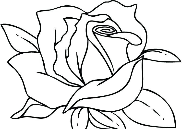 743x527 Coloring Pages Rose Skulls And Roses Coloring Page Coloring Pages