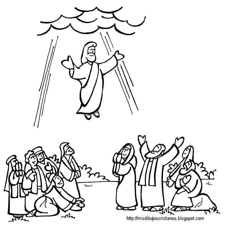 736x733 Jesus In The Temple Craft Ascension Coloring Pages View S