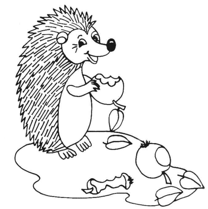 676x679 Hedgehog Coloring Page