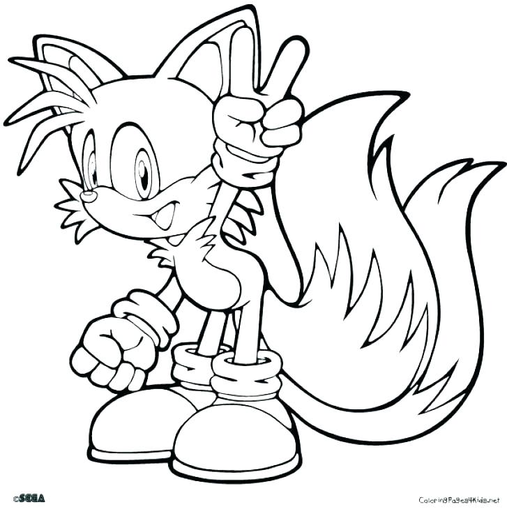 727x730 Amy Coloring Pages Rose Hedgehog Coloring Pages Sonic And Shadow