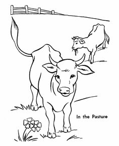 236x288 Printable Cow Coloring Page Free Pdf Download