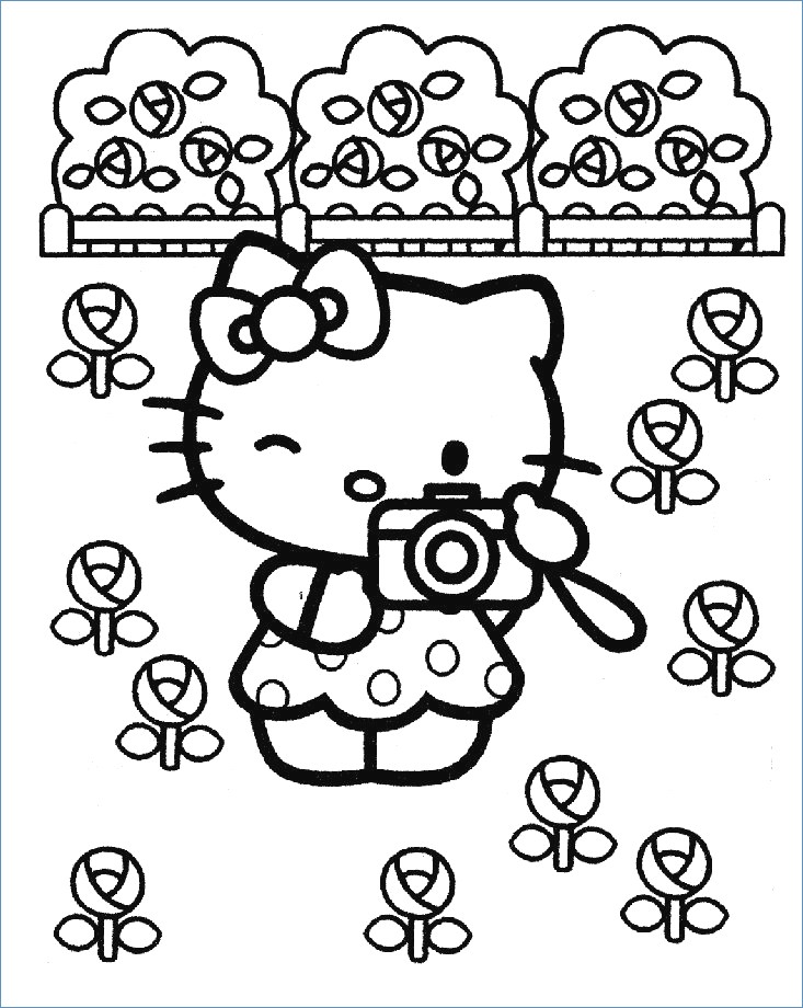 733x920 Fancy Hello Kitty Beach Coloring Pages Elaboration