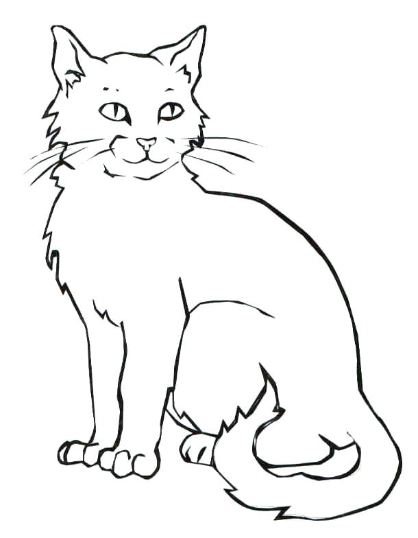 610x784 Kittens Coloring Pages Pdf