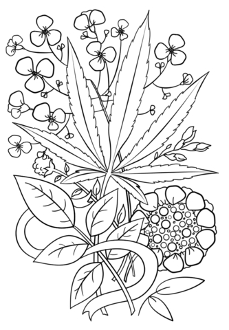 333x480 Weed Coloring Pages