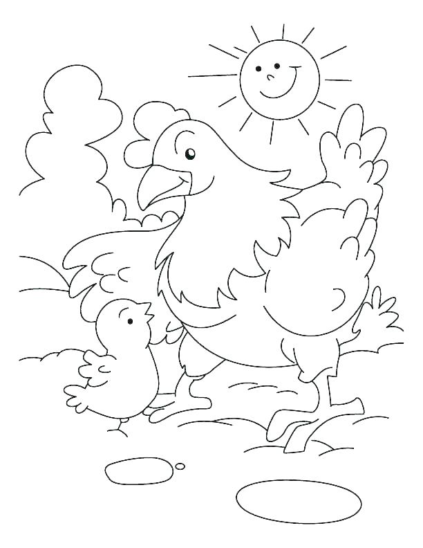 Hen And Chicks Drawing at GetDrawings | Free download