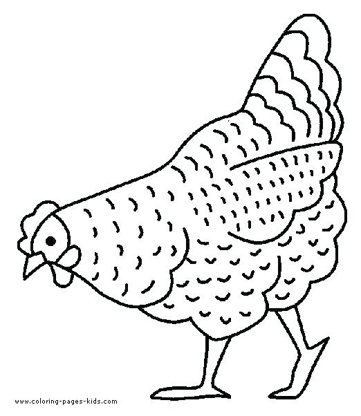 522x602 Hen With Chickens Coloring Page For Kids Mother Hen And Chicks
