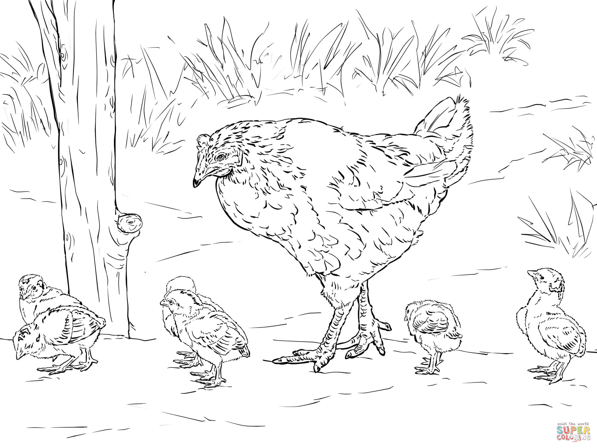 2048x1536 Hen With Chicks Coloring Page Chicken Pages