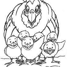 220x220 Hen And Chicks Coloring Pages