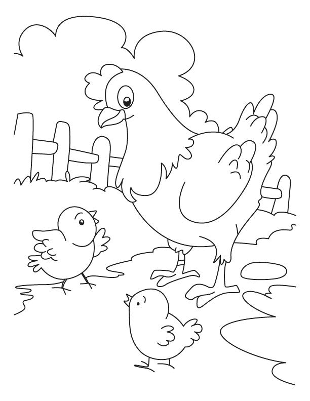 612x792 Chicken Color Page Hen And Chicken Coloring Page Baby Chick