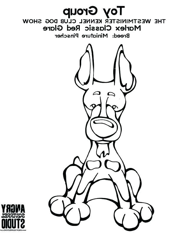 612x792 Matisse Coloring Pages Coloring Pages Angry Squirrel Studio