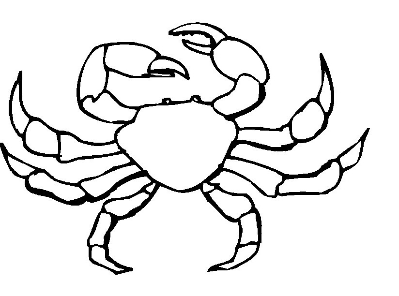 824x612 Hermit Crab Coloring Page