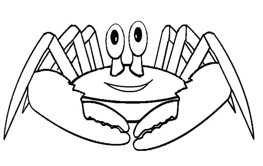 850x537 Blue Crab Coloring Page Printable Coloring Hermit Crab Coloring