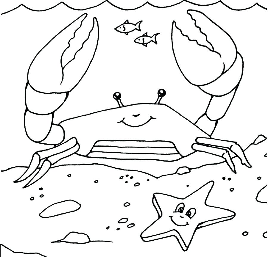 900x864 Hermit Crab Coloring Pages Crab Page Pencil And In Coloring Pages
