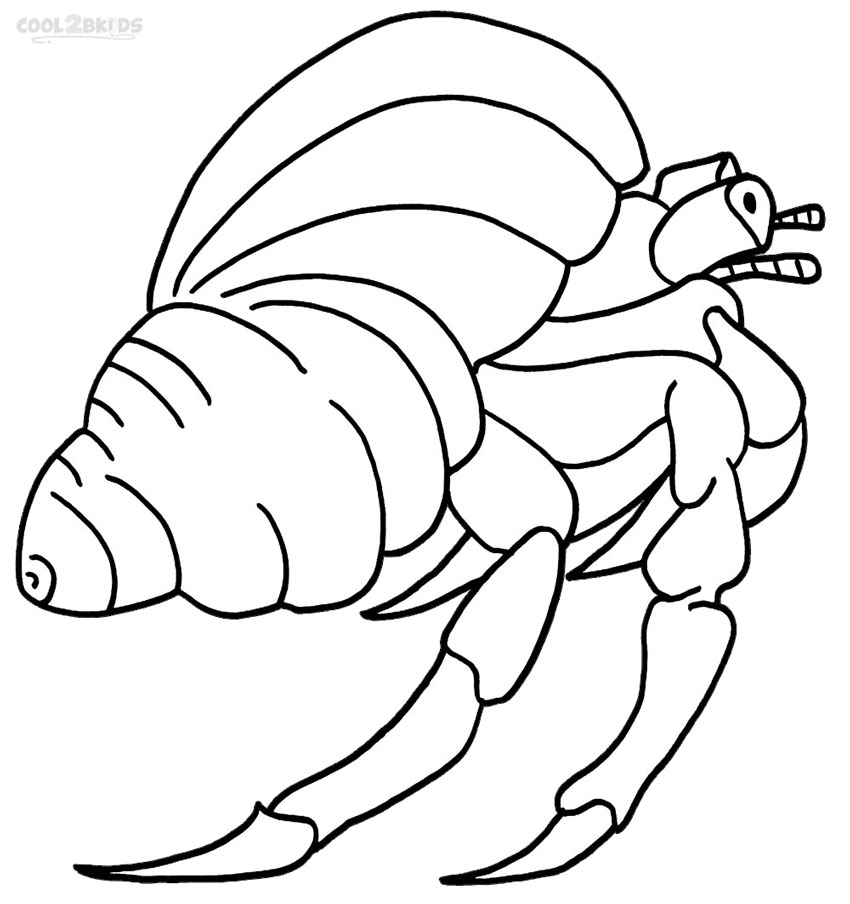 850x904 Printable Hermit Crab Coloring Pages For Kids