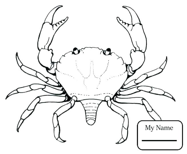 653x540 Crab Coloring Page Coloring Pages Coloring Pages Crab Coloring