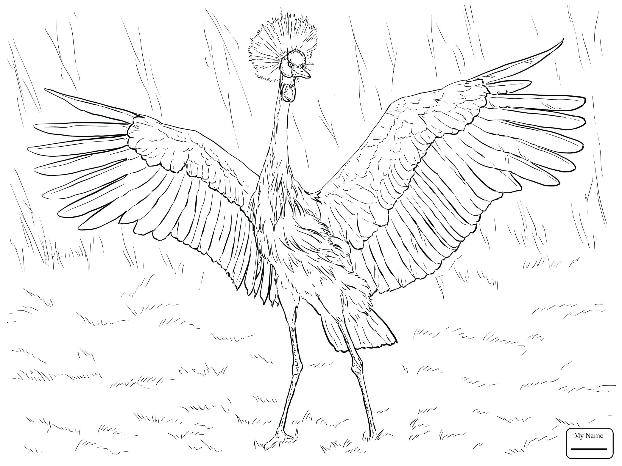 2089x1567 Coloring Pages Christmas Eating Frog Stock Photos Images Page